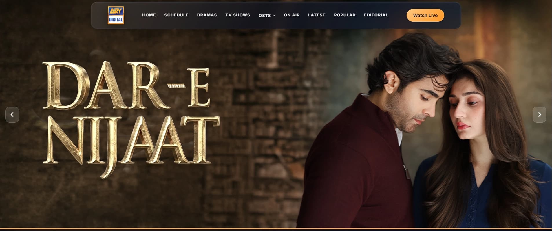 ARY Digital screenshot